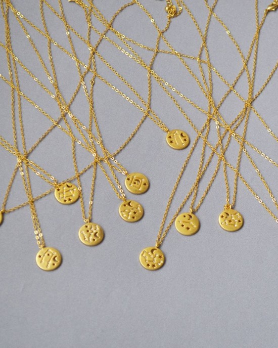 Capricorn Zodiac Constellation Coin 