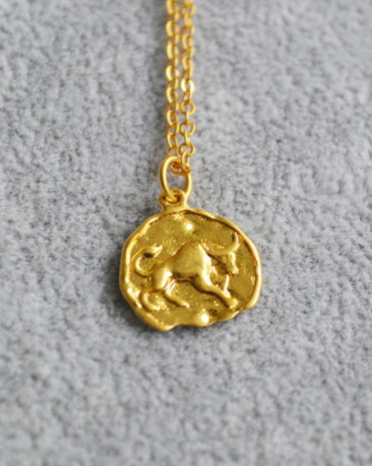 TAURUS Zodiac Coin Necklace