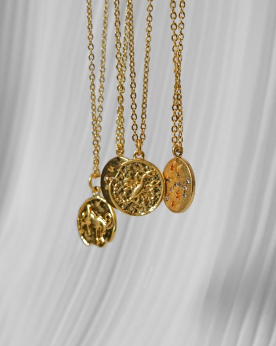 AQUARIUS Zodiac Coin Necklace